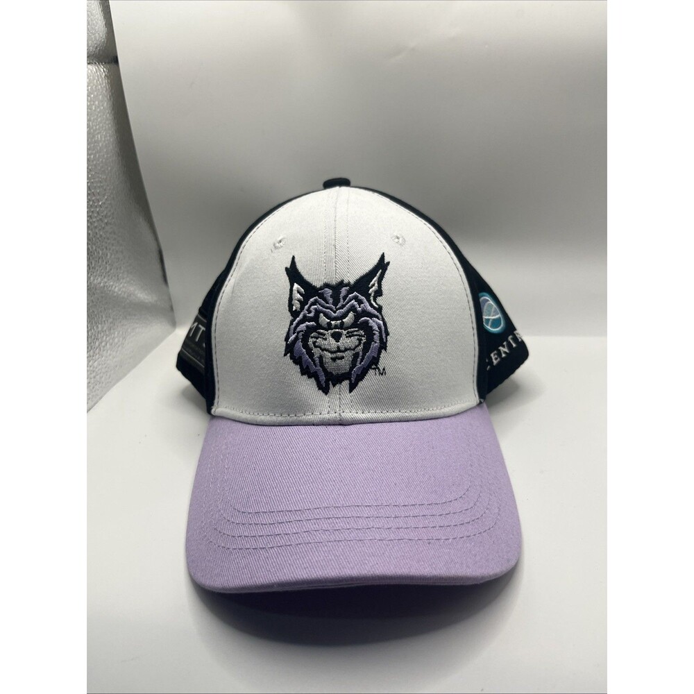 MiLB Lynchburg Hillcats Minor League Snapback Hat / Cap Stadium Miller Transport